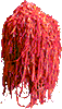 Brigid's Ribbon