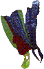 Brigid's Ribbon