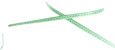 Brigid's Ribbon