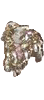 Brigid's Ribbon