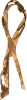 Case's Ribbon