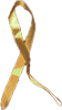 Case's Ribbon