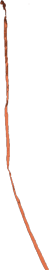 Case's Ribbon