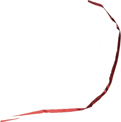 Case's Ribbon