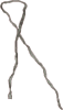 Case's Ribbon