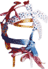 Lisandra's Ribbon