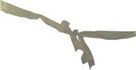 Matthew's ribbon