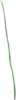 Brigid's Ribbon