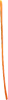 Brigid's Ribbon