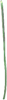 Brigid's Ribbon