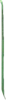 Brigid's Ribbon
