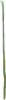 Brigid's Ribbon
