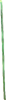 Brigid's Ribbon