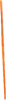 Brigid's Ribbon