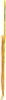 Brigid's Ribbon