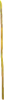 Brigid's Ribbon