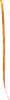 Brigid's Ribbon