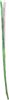 Brigid's Ribbon