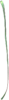 Brigid's Ribbon